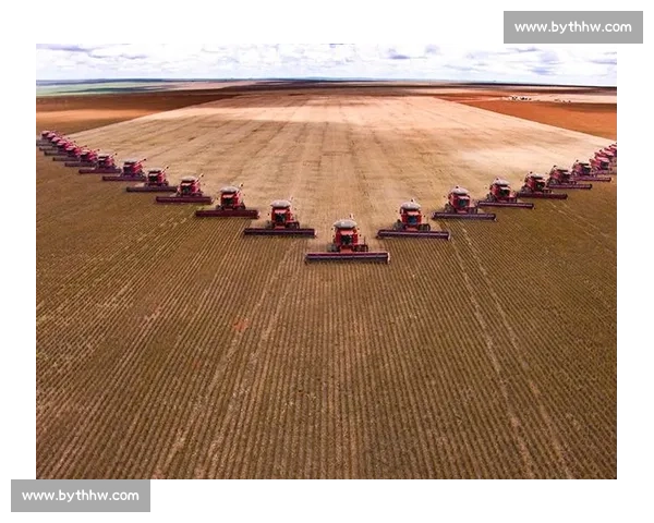 谁是积分收割机盘点小组赛中最会拿分的队伍！